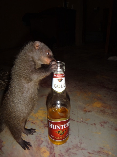 Sharing a drink with a friend ! 