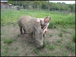 Thimbi the baby rhino