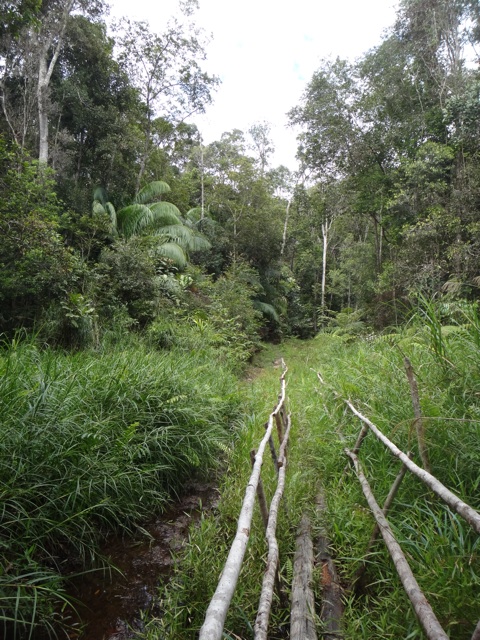 Un passage bien structuré