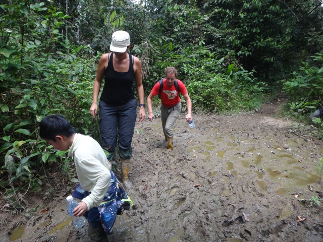 A very muddy jungle trail