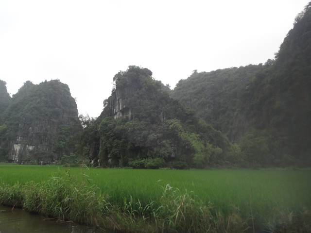 Tam coc