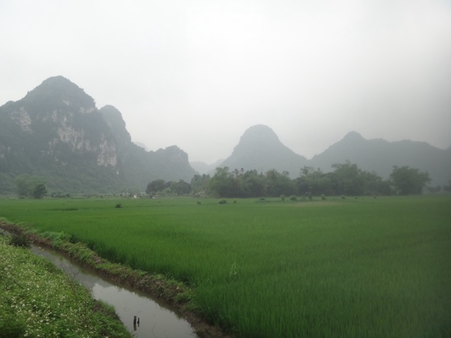 Tam Coc