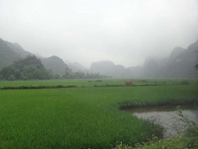 Tam Coc