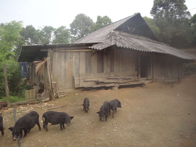 La maison de ma guide