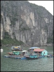 Floating village