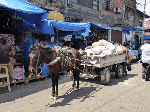 Au marché