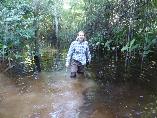 Le niveau de l'eau monte sur les chemins