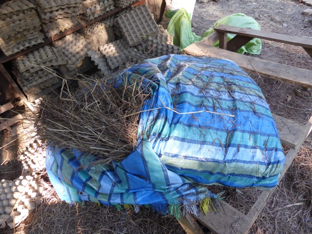 Our matelas are made of straw