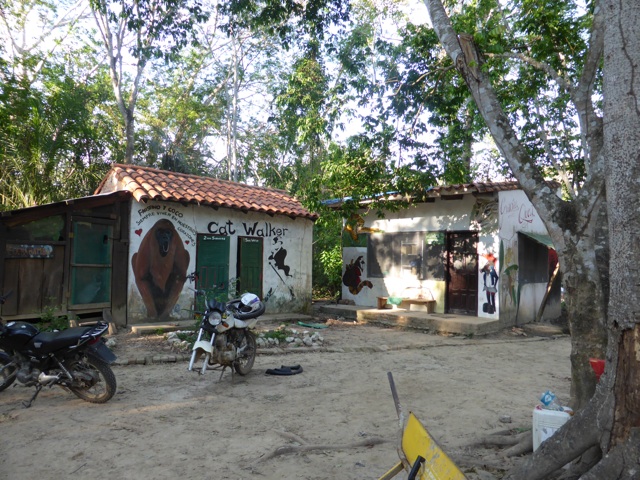 The showers and the vet´s office