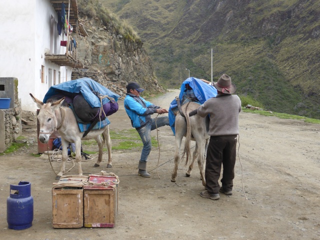 On charge les mules