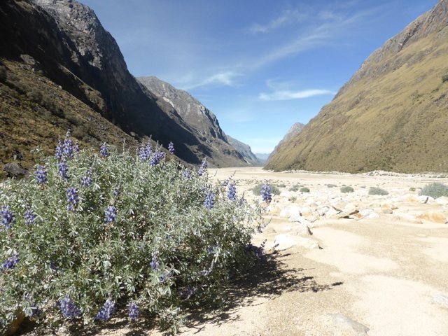 Paysage de désert dans le vallée