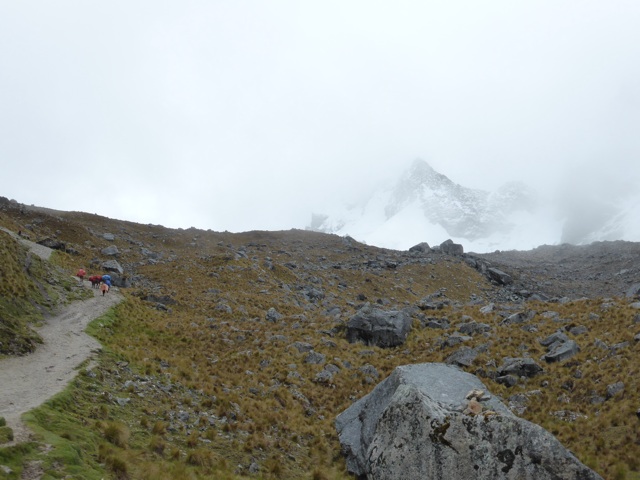 Aperçu du Salkantay