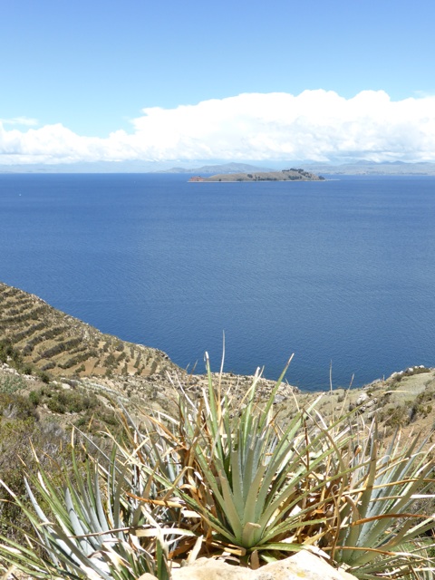 Isla de la Luna 