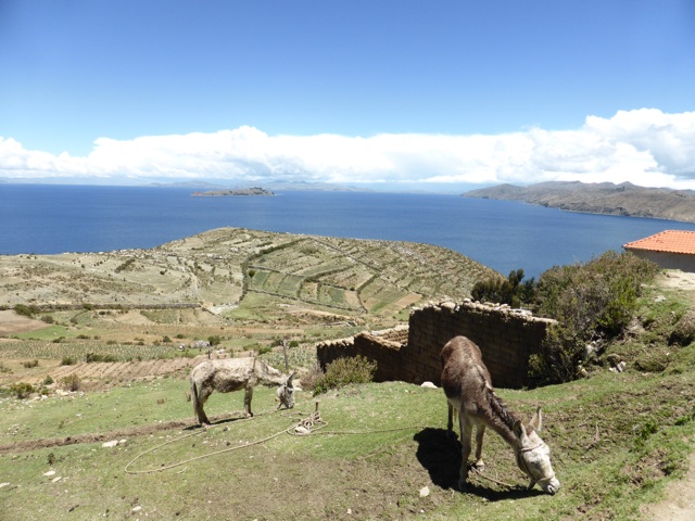 Sud de l'île