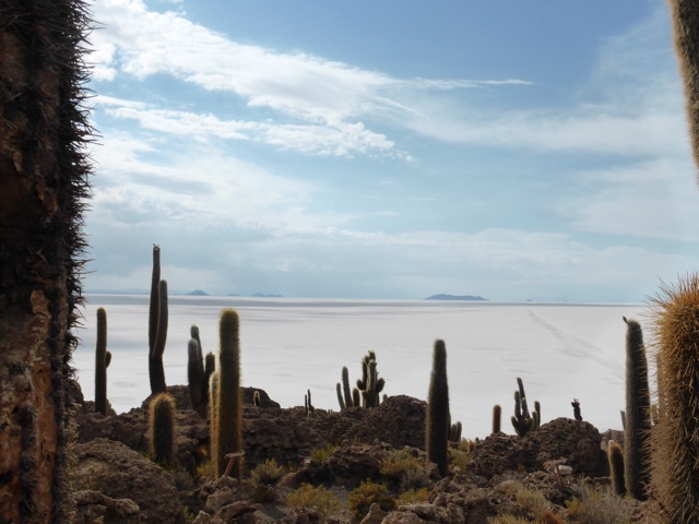 Il y a d'autres îles sur le salar