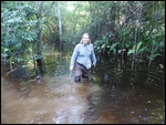 Le niveau de l'eau monte sur les chemins