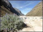 Paysage de désert dans le vallée