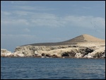 Toutes les tâches noires sur la colline sont 