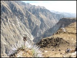 Colca canyon