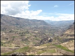 Les cultures en terrasses du canyon