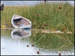 Îles d'Uros