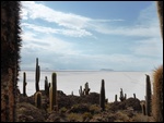 Il y a d'autres îles sur le salar