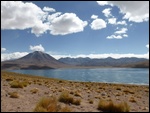 Paysage magnifique de l'altiplano andin