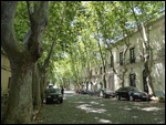 Les rues sont bordées de grands arbres ce qui donne de l'ombre bien appréciée par 33 degrés ! 